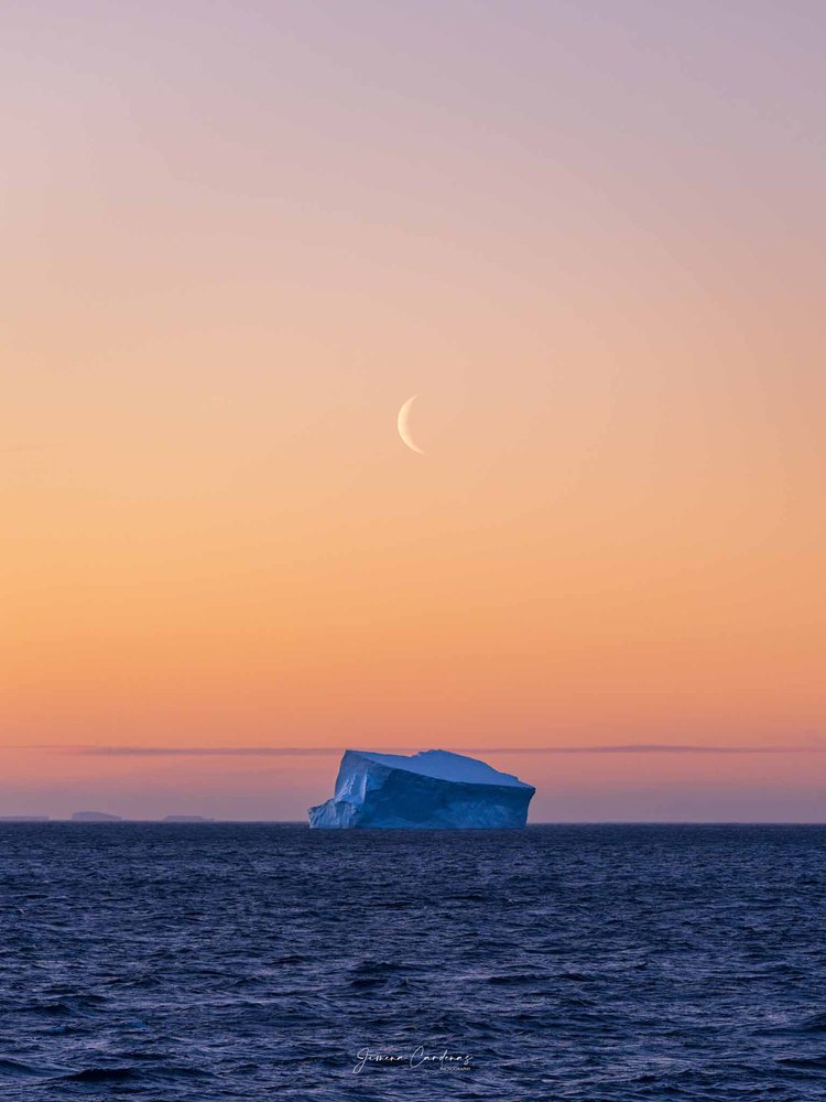 Iceberg